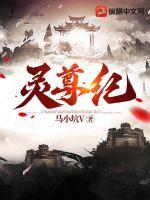 灵尊上去天外天了没有