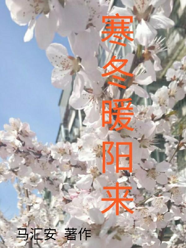 寒冬中的暖阳